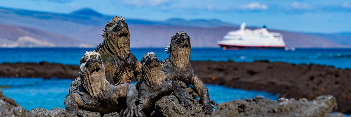 Croisière d'expédition aux Galápagos : achetez-en une et obtenez-en une !