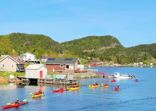A Journey of the Senses: Newfoundland Circumnavigation with Adventure Canada - background banner